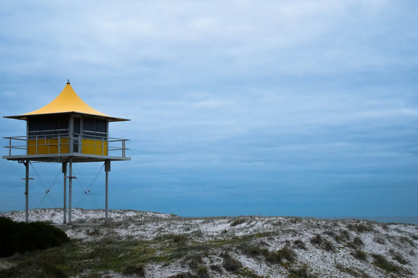 What Algal Blooms Taught Us About Real-Time Data
