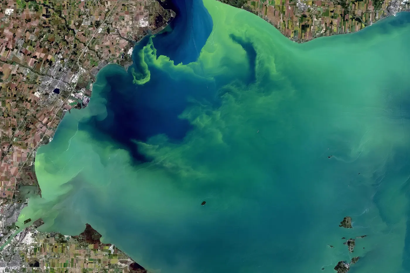 Satellite image of a harmful algal bloom showing swirling patterns of cyanobacteria in coastal waters